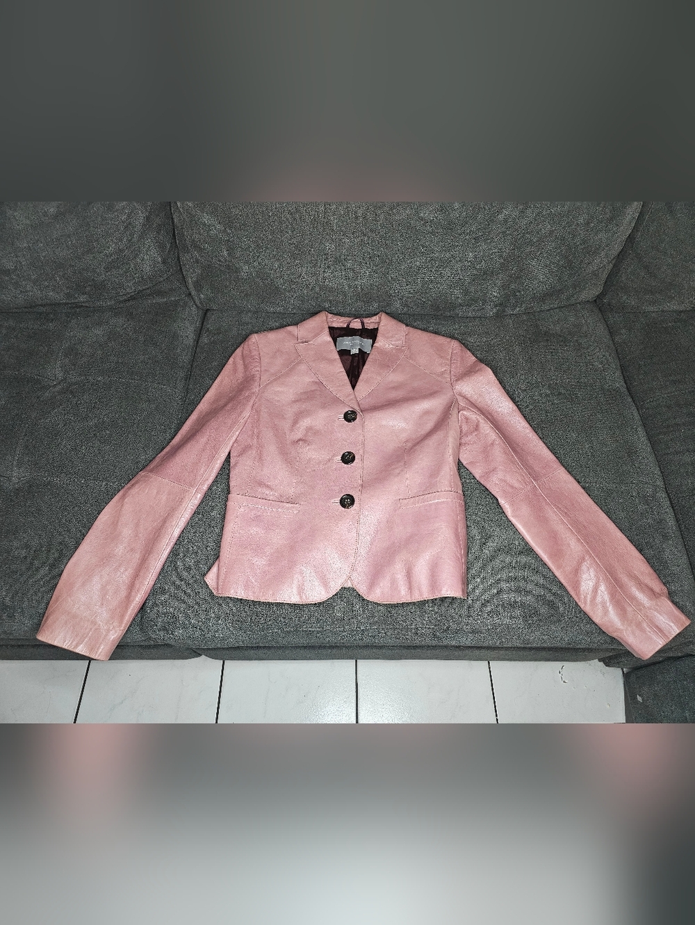 Ann Taylor Pink Leather Blazer